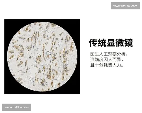 告别“感觉”打法，AI带来精准到毫秒的赛后分析