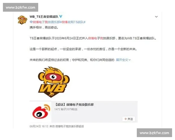 爆料！欧洲电竞巨头们，在年度总结里藏了什么秘密