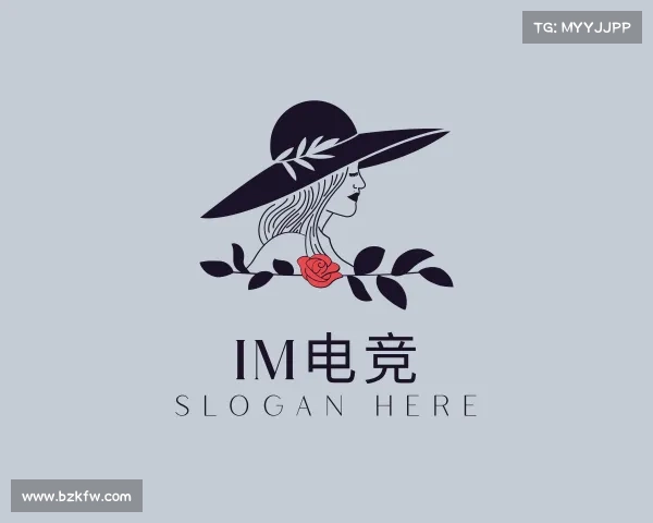 介绍IM电竞
